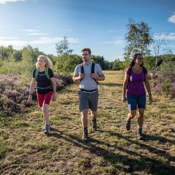 Wandern in der Drover Heide