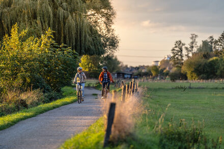 Zwei Fahrradfahrer fahren auf dem Radweg an einem Feld.