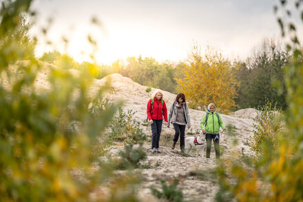 Wandern an der Sophienhöhe.