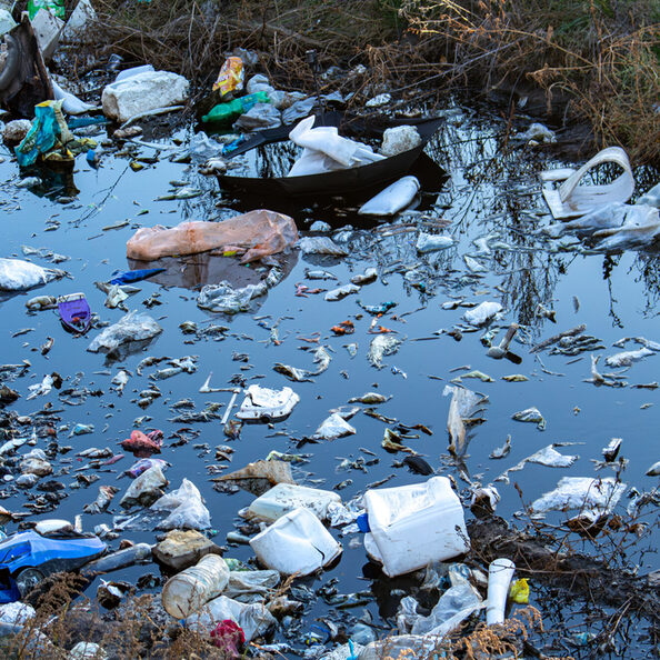 garbage in the forest