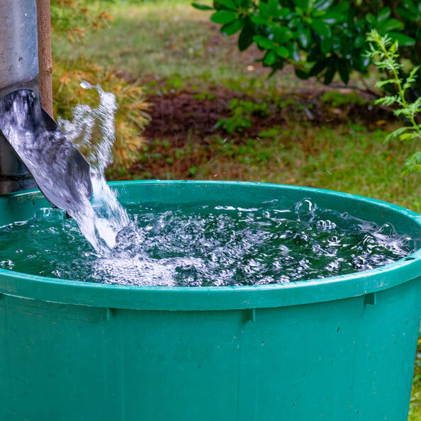 Kräftiger Regenschauer