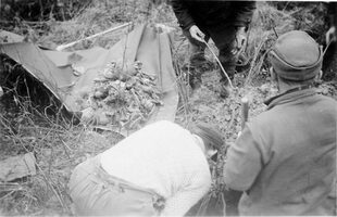 Umbettungsaktion aus Raffelsbrand. Aus dem Grab konnten die Überreste von sechs Toten geborgen und auf die Kriegsgräberstätte Hürtgen überführt werden. Das Datum der Aufnahmen ist nicht bekannt. 3
