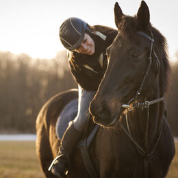Reiter und Pferd