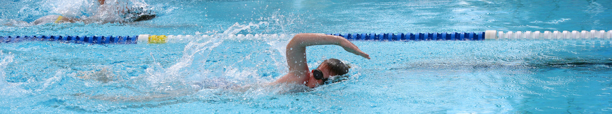 Motivbild Schwimmen [Foto: ©Colibri - stock.adobe.com]