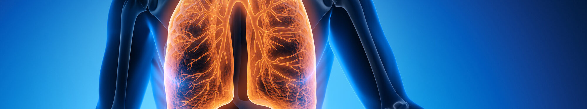 Mensch mit Lunge [Foto: © peterschreiber.media - stock.adobe.com]