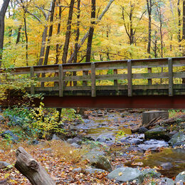 Motivbild Brücke über Bachlauf [Foto: ©rabbit75_fot - stock.adobe.com]