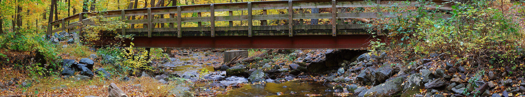 Motivbild Brücke über Bachlauf [Foto: ©rabbit75_fot - stock.adobe.com]