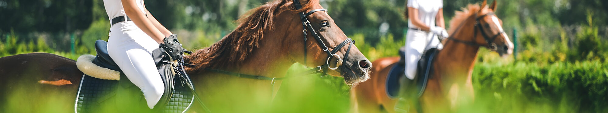 Motivbild Reiter/innen [Foto: ©taylon - stock.adobe.com]