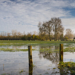 Motivbild Überschwemmungsgebiete [Foto: ©MONBRUN Frédéric, stock.adobe.com]