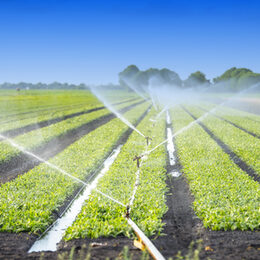 Motivbild Feld-Bewässerung [Foto: ©egonzitter - stock.adobe.com]