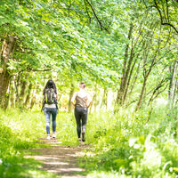 Bild zeigt Frauen auf Wanderung durch den Wald im Kreis Düren