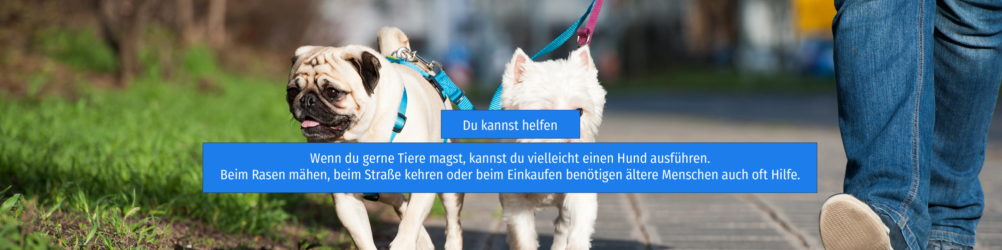 gassigehen in der stadt