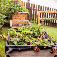 Kita Sonnenschein Heimbach