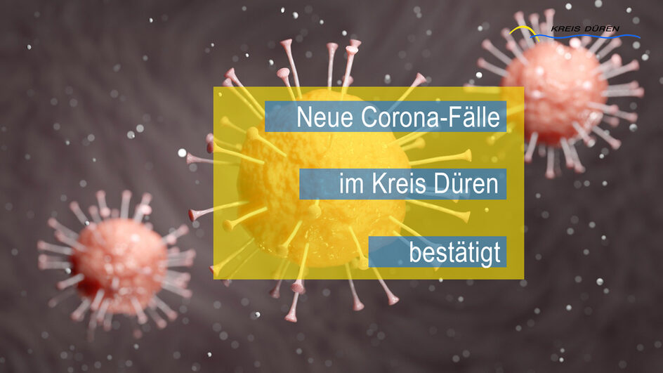 Derzeit ist keiner der Infizierten aus dem Kreis Düren schwer erkrankt.