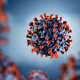 Symbolbild Coronavirus.