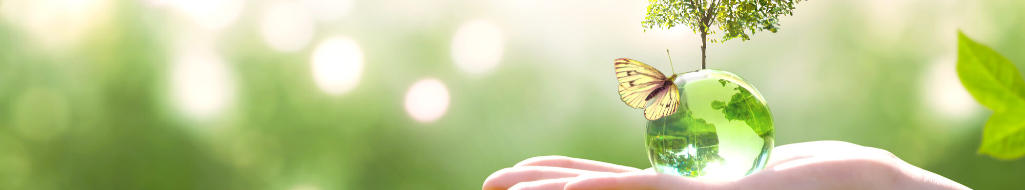 Symbolbild zum Thema Klimaschutz