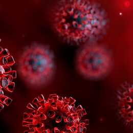 Symbolbild Coronavirus