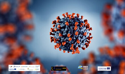 Illustration eines Coronsvirus