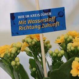 Blumen mit einem Schild darin, auf dem steht "Mit Wasserstoff Richtung Zukunft"