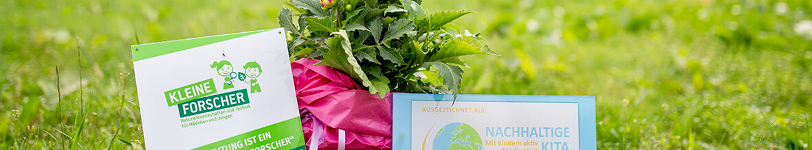 Eine Pflanze und zwei Schilder stehen auf einer Wiese