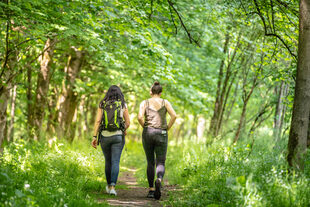 Zwei Frauen wandern im Wald