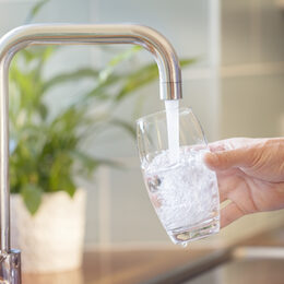 Filling up a glass with clean drinking water from kitchen faucet