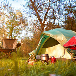 Camping-Ausrüstung im Wald