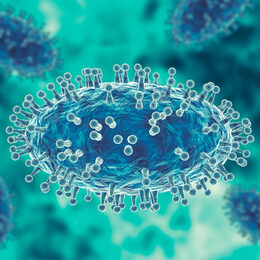 Monkeypox virus is a smallpox-like viral infection transmitted from animals to humans. 3D illustration