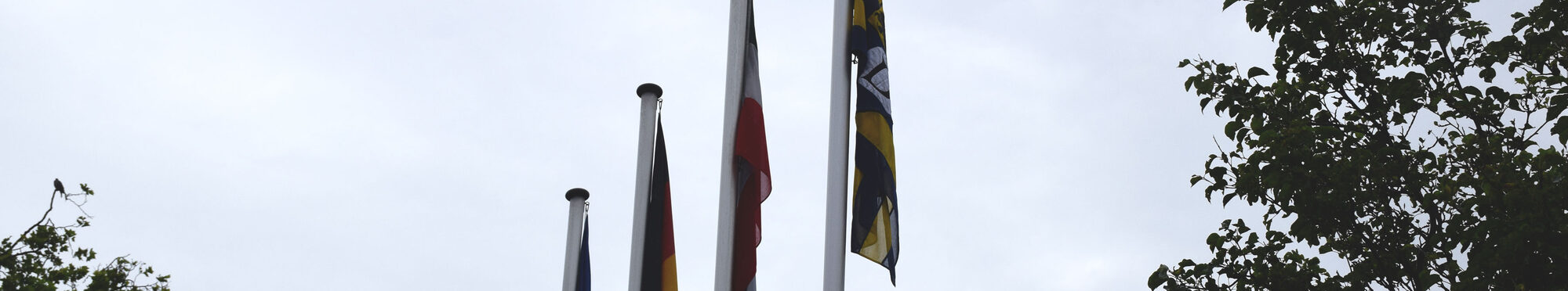 Vier Flaggen hängen vor dem Kreishaus in Düren.