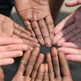 Black and white hands next to each other