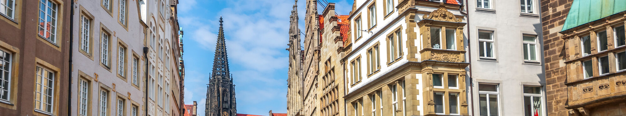 Blick auf die Stadt Münster.