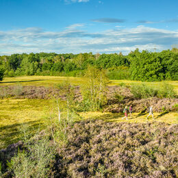 Blick auf die Drover Heide in Kreuzau.