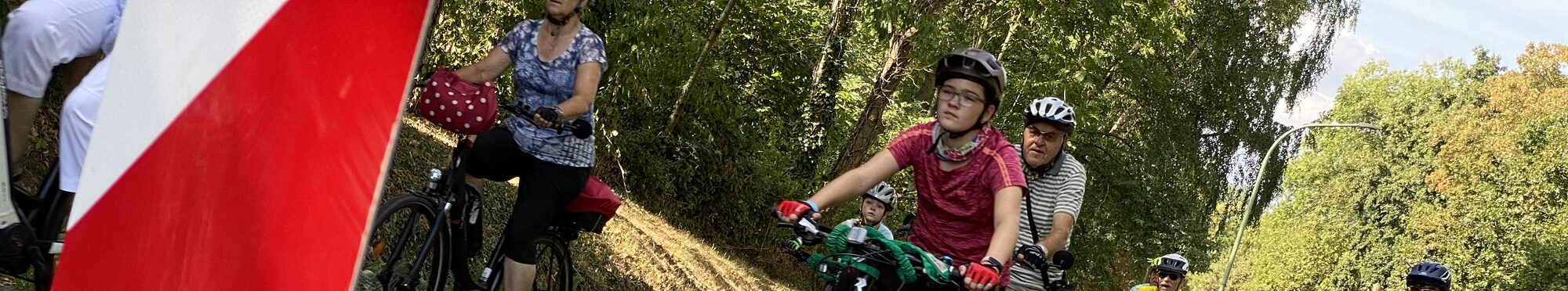 Das Foto zeigt mehrere Radfahrer mit Helmen auf der Straße