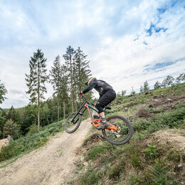 Mountainbiker am Waldrand