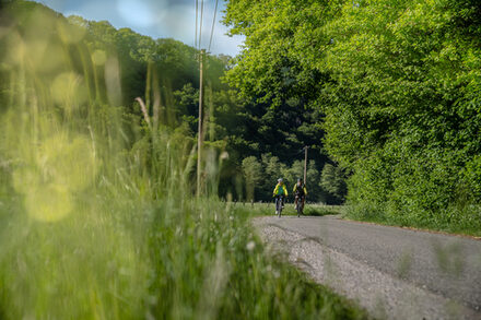 Radfahrer fahren durch die grüne Natur