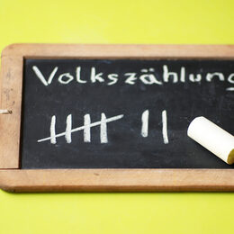 Zensus 2011 Volkszählung