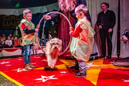 Hund springt durch einen Reifen, der von den Kindern gehalten wird.