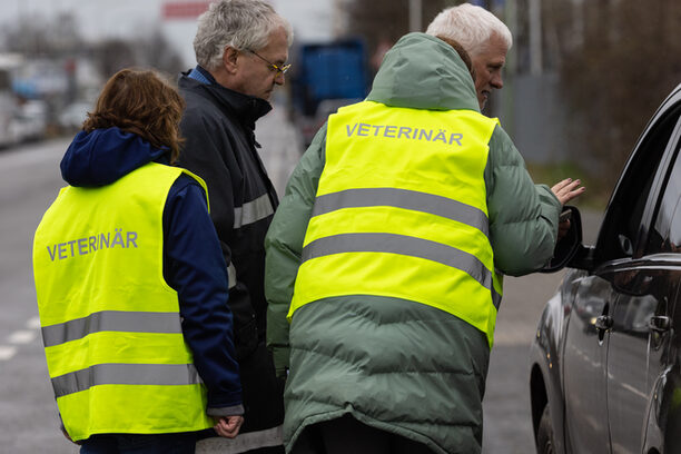 Bei der Kontrolle von Tiertransporten