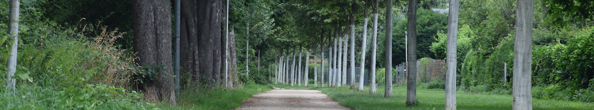 RurUfer-Radweg in Jülich