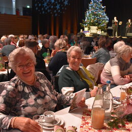Bild zeigt Gäste der Seniorenweihnacht.