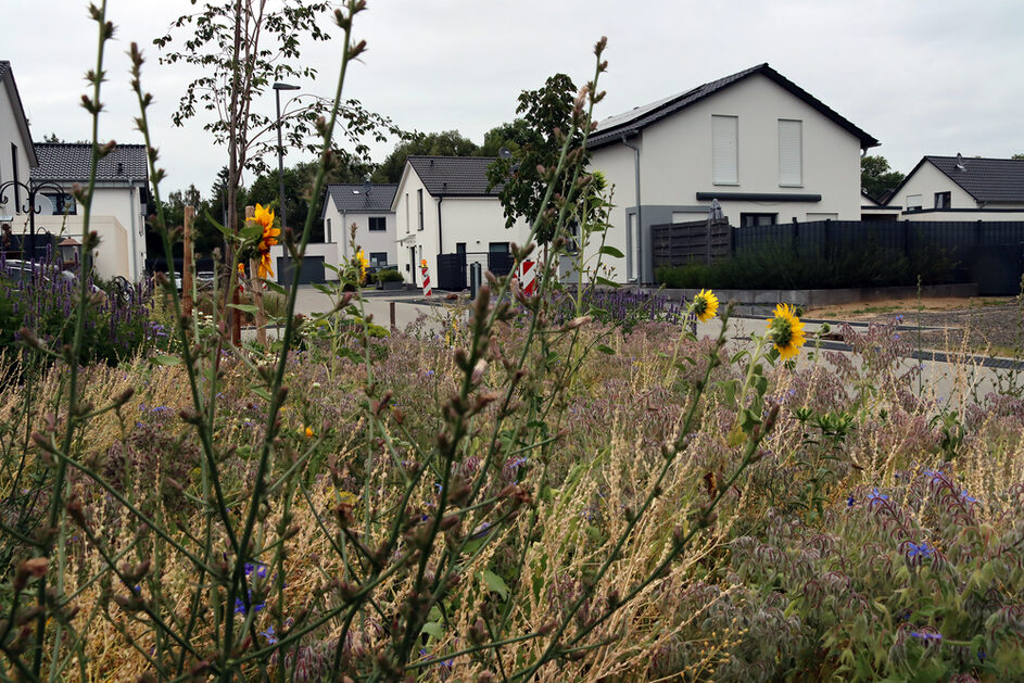 Klimaschonendes Bauen ist gar nicht so schwer - und auch nicht so teuer, wie vielleicht gedacht.