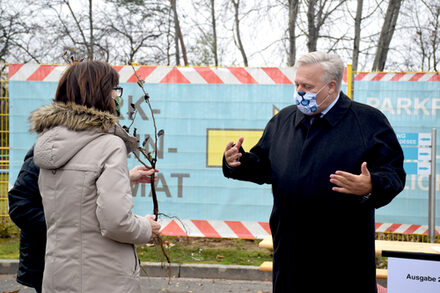 Viele Antragssteller haben die Bäume bereits am Freitag abgeholt.