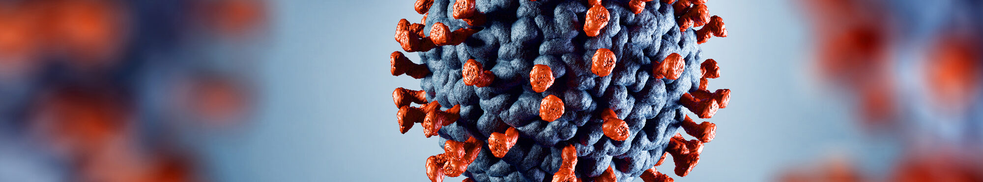 3D illustration of corona virus coronavirus COVID-2019 in microscope