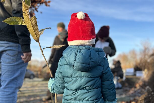 Baumausgabe in Jülich.