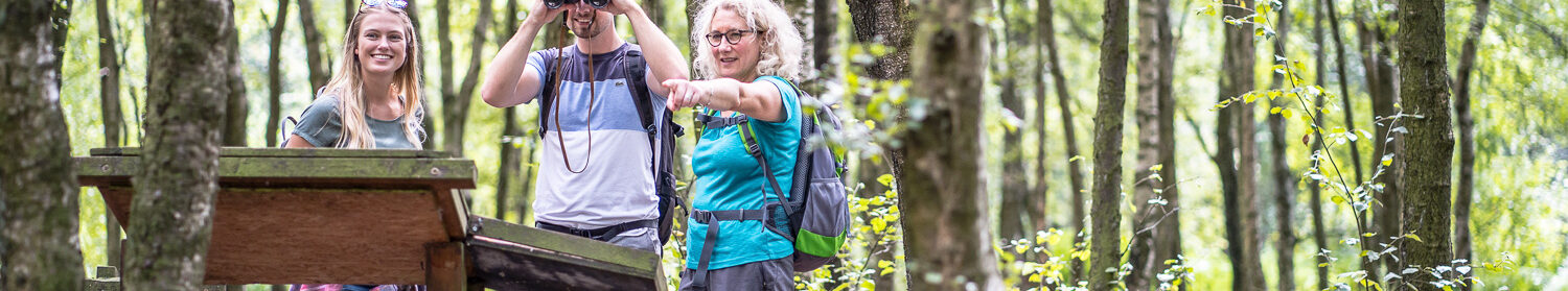 Touristen unterwegs im Hürtgenwald.