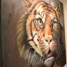 Bild von einem Tiger