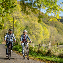 Fahrradfahrer am Feldrand