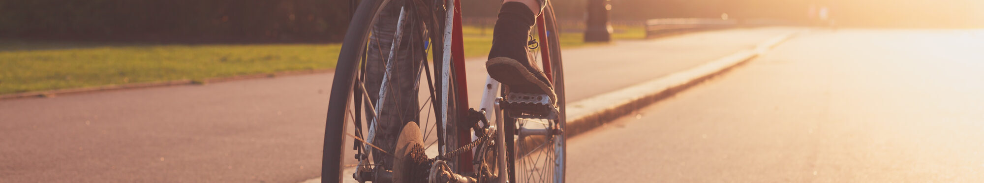 Young woman cycling in the park at sunset