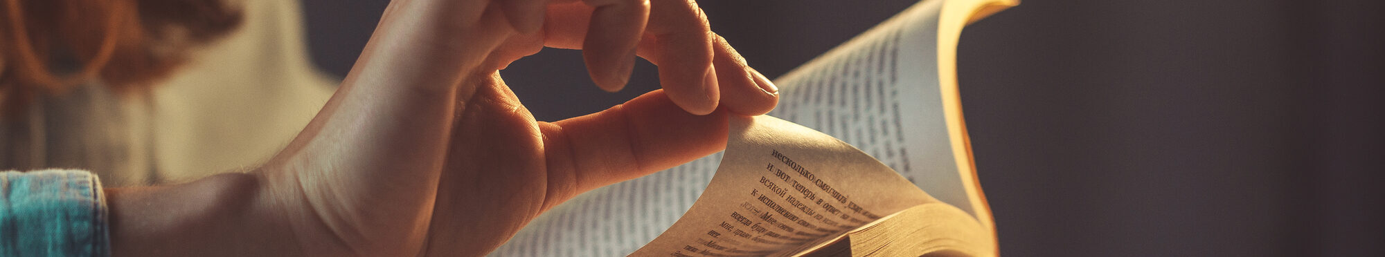 Eine Frau liest ein Buch. Foto: Goffkein/stock.adobe.com